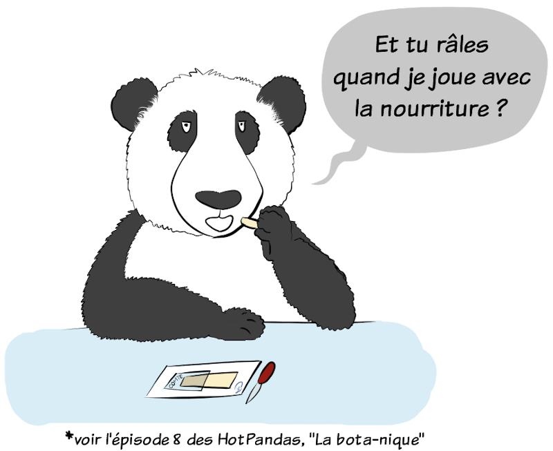 Moustache le panda, mécontent, rouspète : "Et tu râles quand je joue avec la nourriture ?" (en référence à l'épisode n°8 des HotPandas, intitulé "La bota-nique", accessible en cliquant sur l'image).